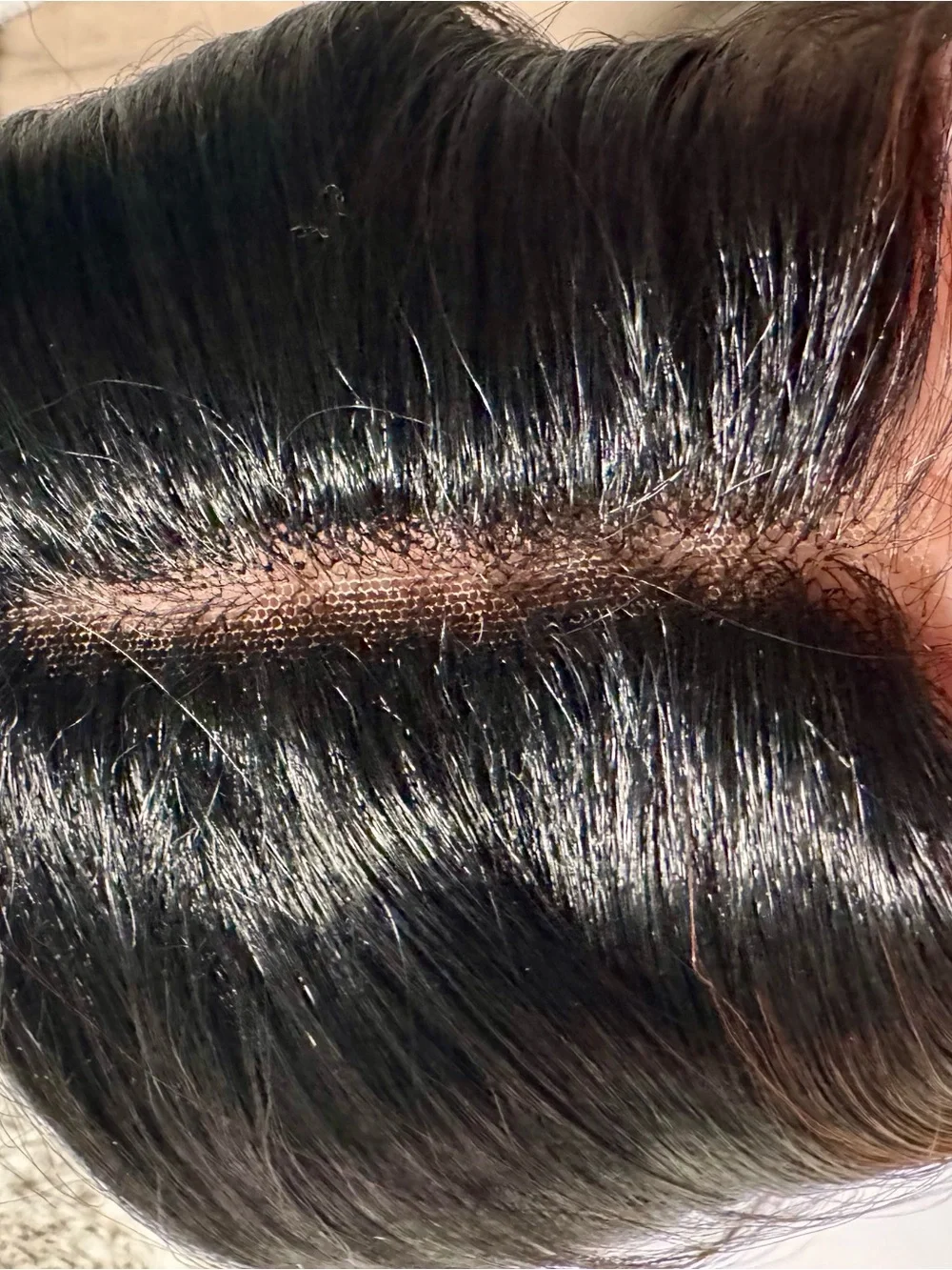 Black Wig with Copper Highlights - Women Hair Extension